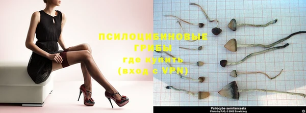 ешки Верея