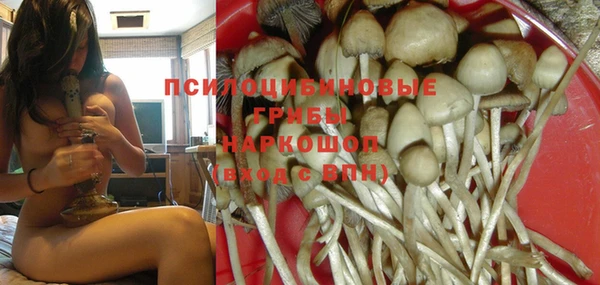 дурь Бородино