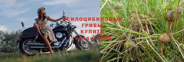индика Верхний Тагил
