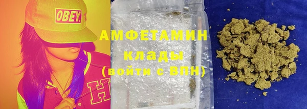 индика Верхний Тагил